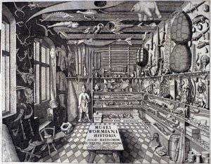 Frontispice av "Musei Wormiani Historia"" som visar interiören av skåpet av kuriositeter av Ole Worm eller Olaus Wormius av Unknown artist