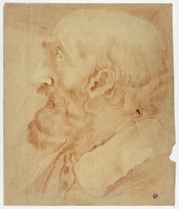 Huvud av skäggig man i profil av Unknown artist