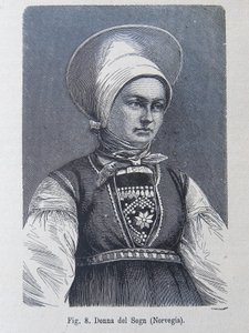 Illustration från "The human race" av Louis Figuier av Unknown artist