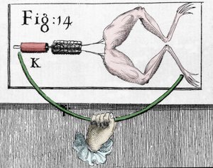 Illustration av experiment av Luigi Galvani, italiensk fysiker och läkare (1737 - 1798) som förklarar passagen av elektrisk ström som rör benen på en groda. av Unknown artist