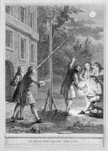 Illustration av fabeln "Ett djur i månen" av Jean de la Fontaine av Unknown artist