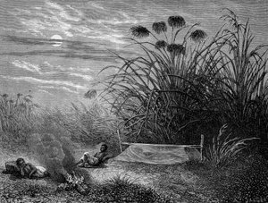 I Masoumbo: Livingstone Myggnät - "" Livingstones sista resa 1866-1873"" i "" Tour du Monde"", 2:a sem. 1875 av Unknown artist