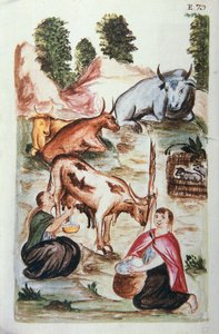 Indiska herdar som tar hand om kor, från boken "Trujillo del Peru" eller "Códice Martínez Compañón", av Baltazar Martinez Compañón y Bujanda, biskop av Trujillo (1782-1785) av Unknown artist
