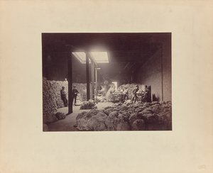 [Interiör från sorteringsanläggning för ull, Walter Brown and Company] av Unknown artist