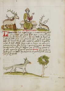Jupiter som en äldre skäggig man tronande mellan en hjort och en hare; en varg under ett träd av Unknown artist
