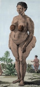 La Venus Hottentote, kvinna av rasen Bochiman; (The Hottentot Venus,) gravyr från 1815. av Unknown artist