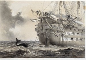 Att lägga Atlanten telegrafkabel, en val runt båten av Unknown artist