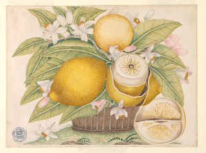 Citroner och citronblommor i en korg av Unknown artist