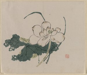 Lotusblomma av Unknown artist