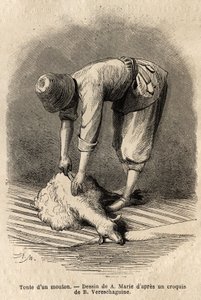 Att klippa ett får av en ung tatarisk man i Schusha (Transkaukasien, Ryssland). Gravyr för att illustrera resan i provinserna i Kaukasus, av Basile Vereschaguine, 1864-1865, publicerad i "" le tour du monde", under ledning av D
