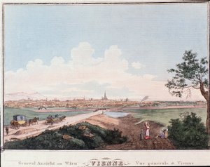Översikt över staden Wien med bro över Donau. Österrike Gravyr från 1830 privat samling av Unknown artist