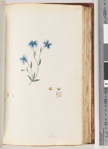 Sida 100. Linum av Unknown artist