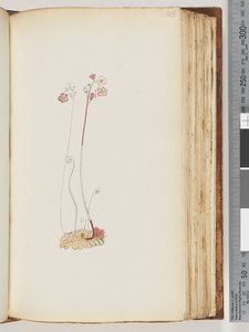 Sida 106. Ingen inskription, ritning ofullbordad av Unknown artist