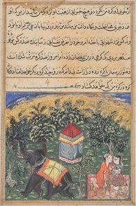 Sida från Tales of a Parrot (Tuti-nama): textsida av Unknown artist