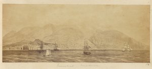 [Panorama över hamnen, Funchal, Madeira] av Unknown artist