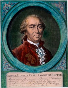 Porträtt av George Louis Le Clerc, greve av Buffon (1707-1788), fransk naturforskare och författare. Gravyr av 1700-talet. Privat samling. av Unknown artist