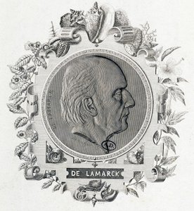 Porträtt av Jean Baptiste Lamarck - gravyr av Unknown artist
