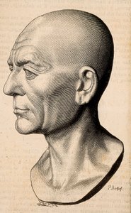 Porträtt av Publius Cornelius Scipio (Scipio den afrikanske) Africanus, romersk statsman (235-183 f.Kr.). av Unknown artist