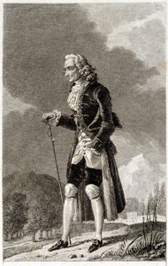 Porträtt av Voltaire (1694 - 1778), fransk författare och filosof, äldre. av Unknown artist