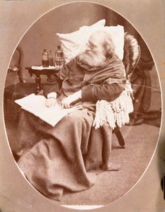 Porträtt av den italienska patrioten och hjältarna i Risorgimento Giuseppe Garibaldi (1807-1882) i Caprera 1882. Fotografi Privat samling av Unknown artist