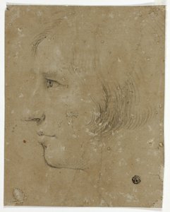 Profil av manlig huvud till vänster av Unknown artist