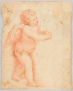 Putto gör en knut av Unknown artist