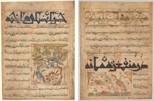 Kvaliteter hos Ringduvor (recto); On the Benefits of Quails (verso), från en persisk Manafi‘ al-Hayawan (The Benefits of Animals) från Abu Said Ubaid-Allah ibn Jibrail ibn Bakhtishu (död 1058–68) av Unknown artist