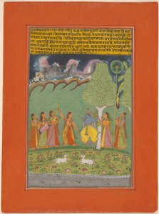 Rag Megh Malar, sida från en krans av musikaliska ragas (Ragamala) Set av Unknown artist
