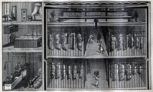 Kylförråd för kött - Gravyr från "La Science francaise"" av Unknown artist