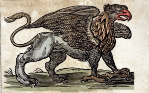 Representation av en griffon, fantastisk varelse halv örn halv lejon. Gravyr från ett verk av Athanasius Kircher (1601 - 1680), jesvit, orientalist och lärd. av Unknown artist