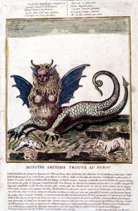 Representation av ett monster som hittats i en Perou-sjö: det har ett mänskligt ansikte, horn, drakvingar, en lejonman, en reptilkropp, en kvinnas bröst. Populärt 1700-talstryck. av Unknown artist