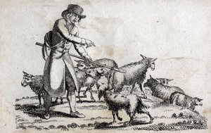 Herde med sin fårhjord. Gravyr sent 1700-tal. Privat samling. av Unknown artist