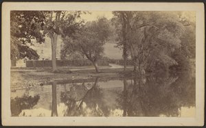 [Silverspring Pond] av Unknown artist