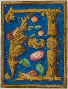 Sniglar, jordgubbar och en blomma i ett dekorerat initialt "A" från ett manuskript av Unknown artist
