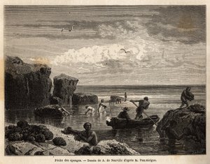 Svampfiske av öborna på Anastasia Island, ett lågt sto, samlas kvinnor och barn bland klipporna och män går ombord på kanoter för att dyka och återhämta dem på havets botten. Gravyr för att illustrera berättelsen fyra månader i Florida, av Achille Po av Unknown artist