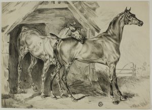 Stående sto och hingst av Unknown artist
