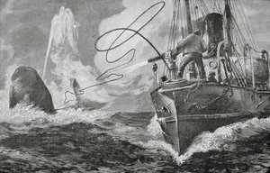Ångare som valfångare av Unknown artist