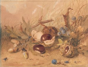 Stilleben med ekollon och hästkastanjer av Unknown artist