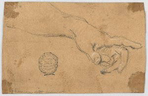 Studie: En utsträckt vänster underarm och hand av Unknown artist