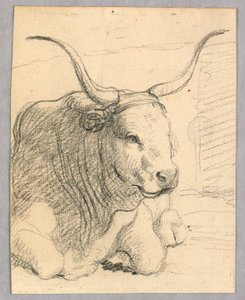 Studie: en liggande ko av Unknown artist