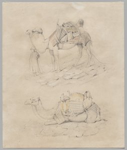 Studie av kameler av Unknown artist
