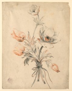 Studie av ett gäng rosor av Unknown artist