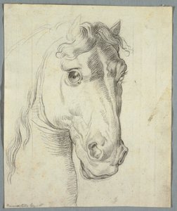 Studie av en häst av Unknown artist