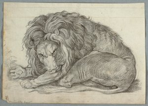 Studie av ett lejon av Unknown artist