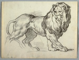 Studie av ett lejon av Unknown artist