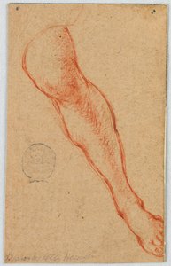 Studie av en sittande kvinnas vänstra ben av Unknown artist