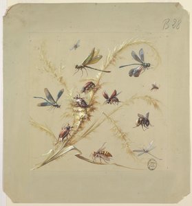 Textil- eller tapetdesign: Insekter av Unknown artist
