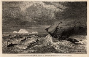 Arcturus, ett danskt linjefartyg som trafikerar mellan Köpenhamn och Island, på vilket författaren går ombord för att nå Reykjavik och seglar bland valarna. Gravyr för att illustrera resan på Island, berättelse av Noel Nougaret, 1866, publicerad i "" Le to av Unknown artist