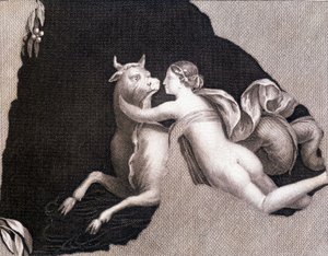 Bortförandet av Europa - gravyr av Unknown artist