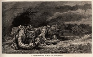 Kamelkaravanen som fångats i en sandorkan kallar tebbad. Teckning av Emile Bayard (1837-1891), för att illustrera resan till Centralasien, 1863, av Arminius Vambery (ungersk vetenskapsman förklädd i dervisch). Gravyr i "" Le tour du monde", redigerad av av Unknown artist